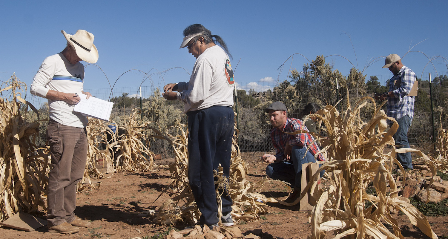 1.1 What was the PFP? The Pueblo Farming Project