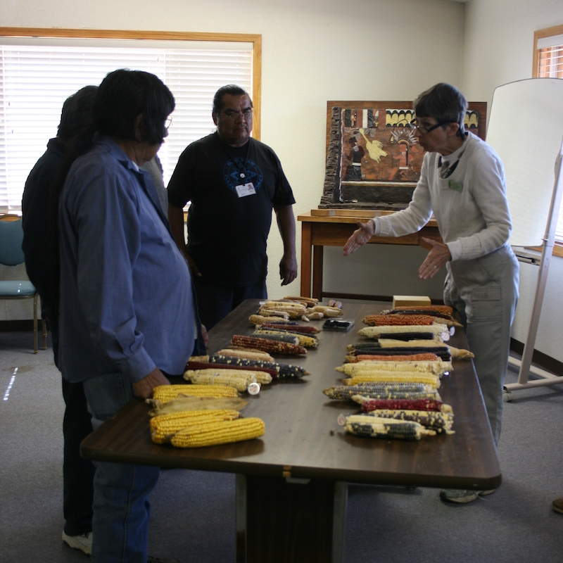 Karen Adams and Hopi farmers discussing variation in corn.